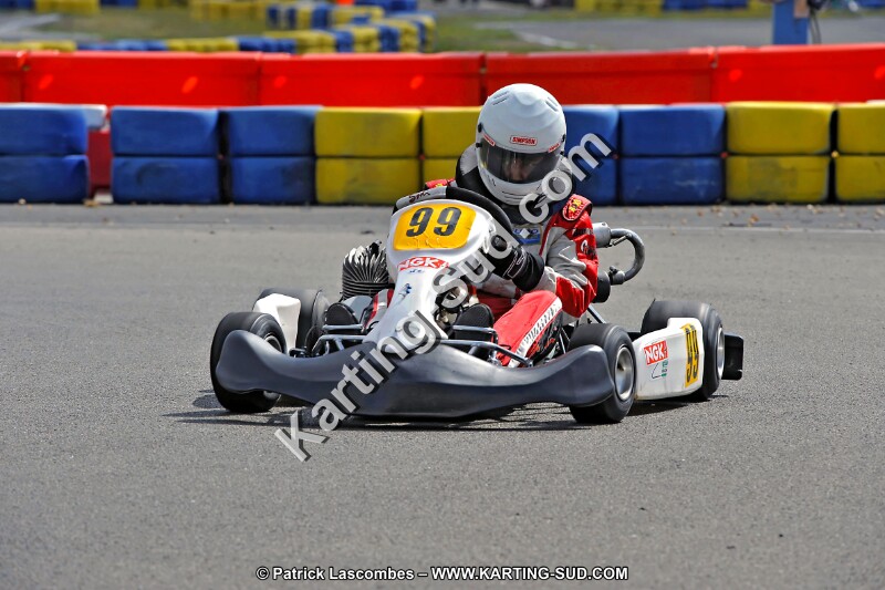 DSC_ (1390).jpg